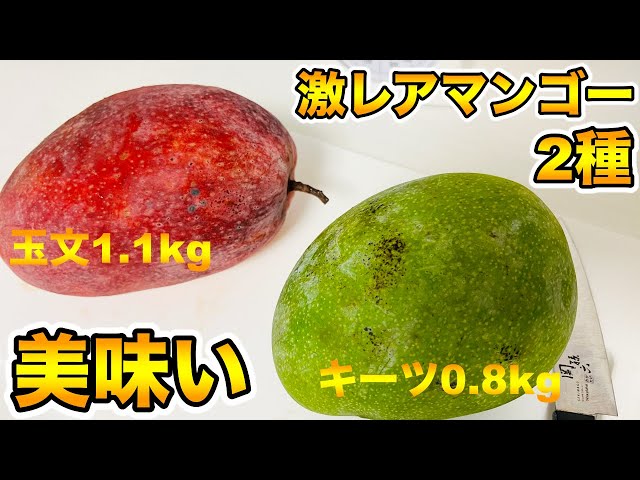 激ウマのマンゴー】キーツ種と玉文種の食レポ．かなり美味しかった