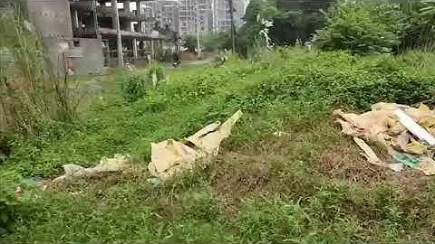 Affordable Corner Plot for Sale in Bashundhara L Block - Your Ideal Investment Opportunity!"