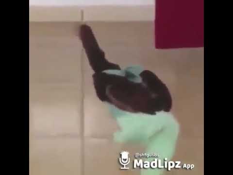 ელდარი ჰახარ