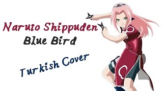 Naruto Shippuden - Blue Bird (Turkish Cover by Minachu)