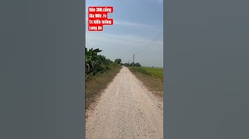 Diện tích .lớn 300.công.Tx Kiến Tường Long An/90tr/c.lh0966994787