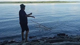 Рыбалка на экран. Ловля щеклеи (уклейки) на экран (телевизор) в июле 2021.