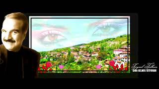 Zeynel Tatlıses / Sana Gelmek İstiyorum