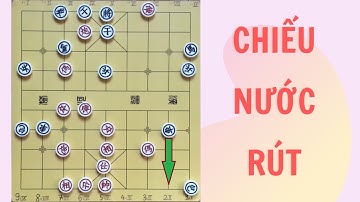 Khám phá biến Ngũ Lục Pháo và bố cục Trung Pháo Tấn Thất Binh Đối Bình Phong Mã trong trận cờ tướng