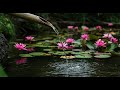 Relaxing Classical Piano Music: Mozart, Chopin, Beethoven, Bach, Tchaikovsky 🎹