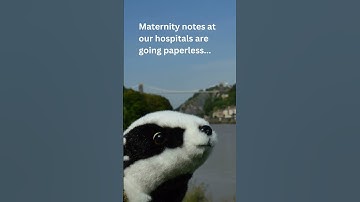 Maternity notes - Badger Notes is coming to UHBW #Maternity #Newborn #Pregnancy #PregnancyJourney