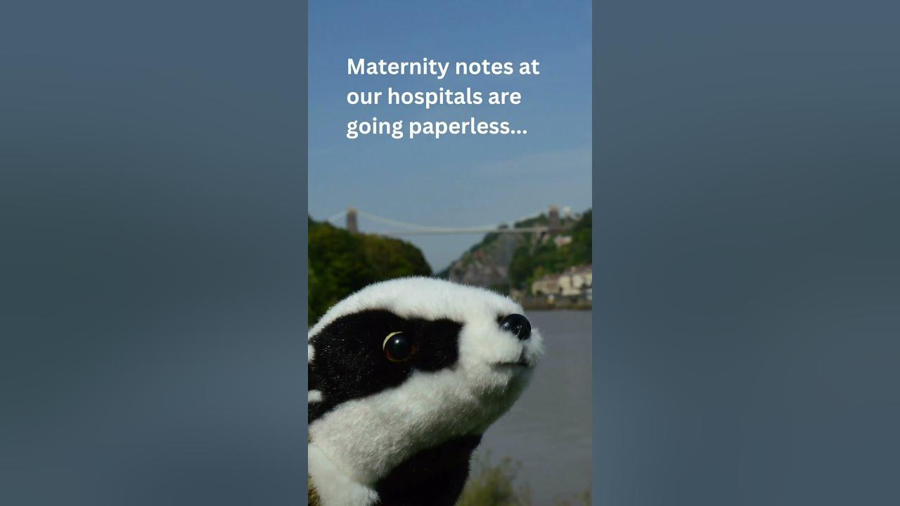 Maternity Notes Badger Notes Is Coming To UHBW Maternity Newborn maternity-notes-badger-notes-is-coming-to-uhbw-maternity-newborn
