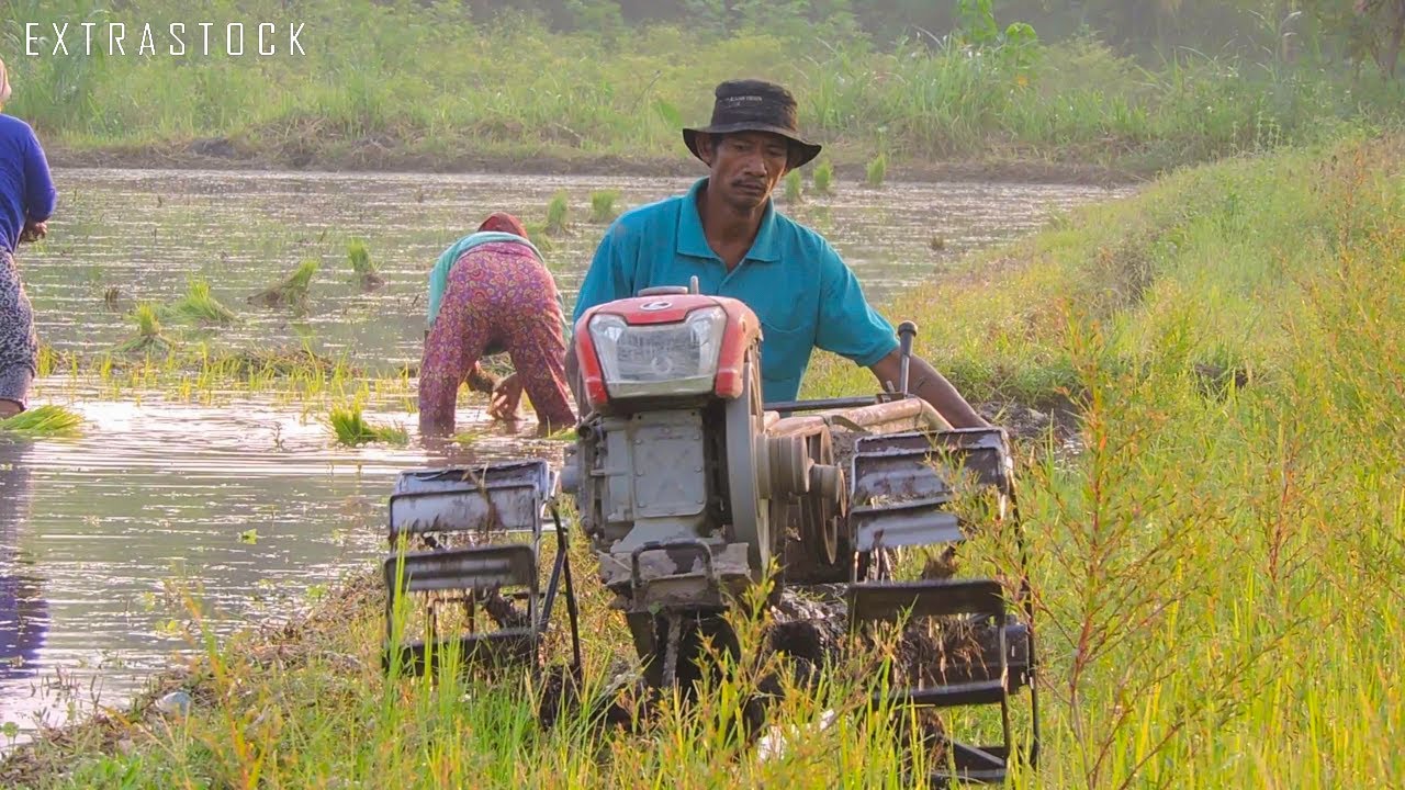 Зева и Кубота Дизель Quick G3000 Paddy Трактор RD-85DI-2S