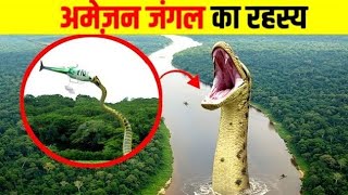 😱Amazon जंगल के बारे में जानकर आपके होश उड़ जायेंगे | Most Dangerous Animals Of Amazon Forest