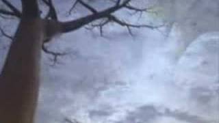 Version 3 of the video