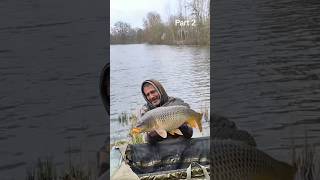 Šaranski ribolov #carpfishing #fishing #carp #pecanje #nature #run #bigfish #šaranskiribolov