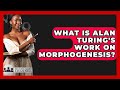 Uncovering Alan Turing's Breakthrough in Morphogenesis 🧬