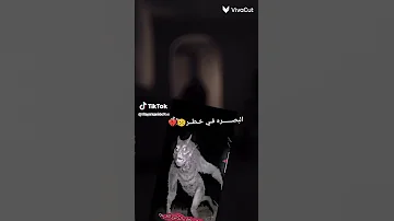الوحش بالبصره 