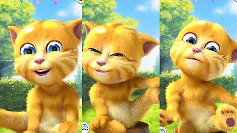 Watch the video about Talking ginger entertained full funny videos 😅 new viral album release 🤣 cat lover cartoon 😀 #cats