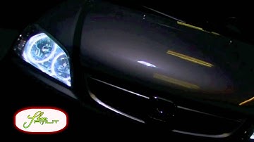 ORACLE Honda Civic White CCFL Halo Kit Show Car by ShopPMLIT.com