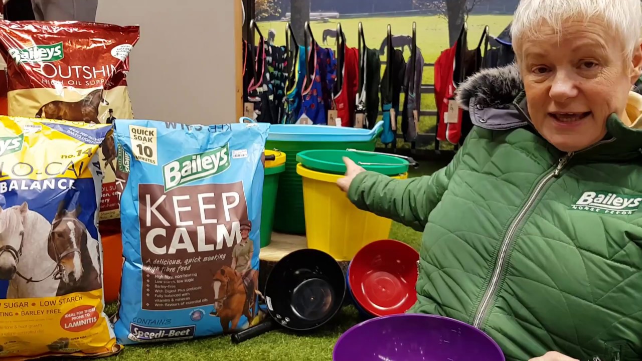How to get your horse to lose weight Baileys Horse Feeds YouTube