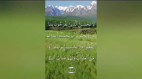 سورة آل عمران صفحة ٧٥ مكتوبة مكررة بصوت جميل