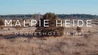 Winters landschap Malpie (Valkenswaard) in 4K | Drone video