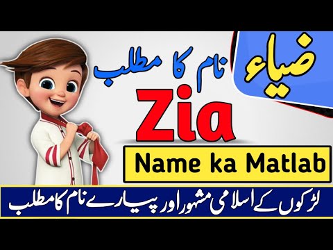 Zia Name Meaning in Urdu & Hindi