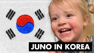 We took Juno to KOREA!!