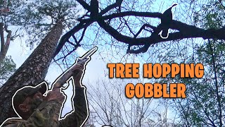 A Different Type Of Gobbler!!! - Hunting The Deep South