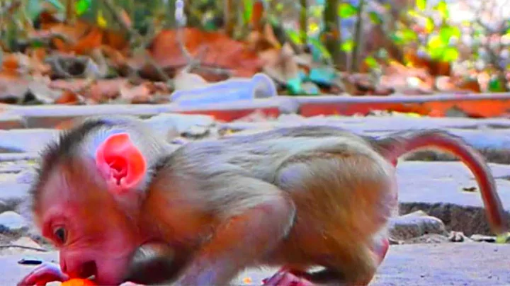 Untitled 2025 11 28 17 45 18 2