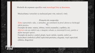 lecție de viziune în clasa a 8-a viziunea satului după 40