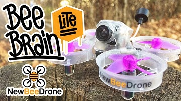 BeeBrain Lite AcroBee Hardware Overview and Build