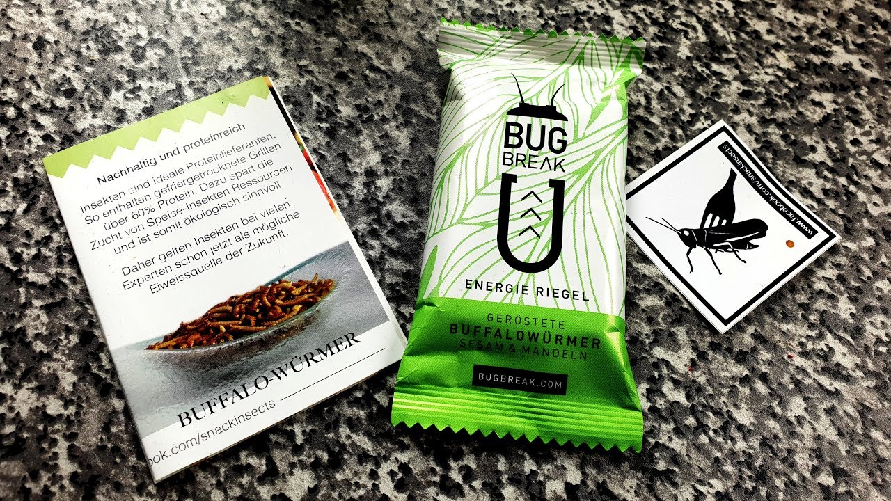 Update INSEKTENRIEGEL 🐛 Bug-Break 🦋 TEST