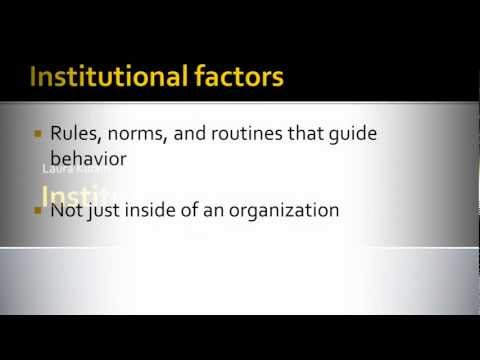 Institutional factors: A definition and some examples