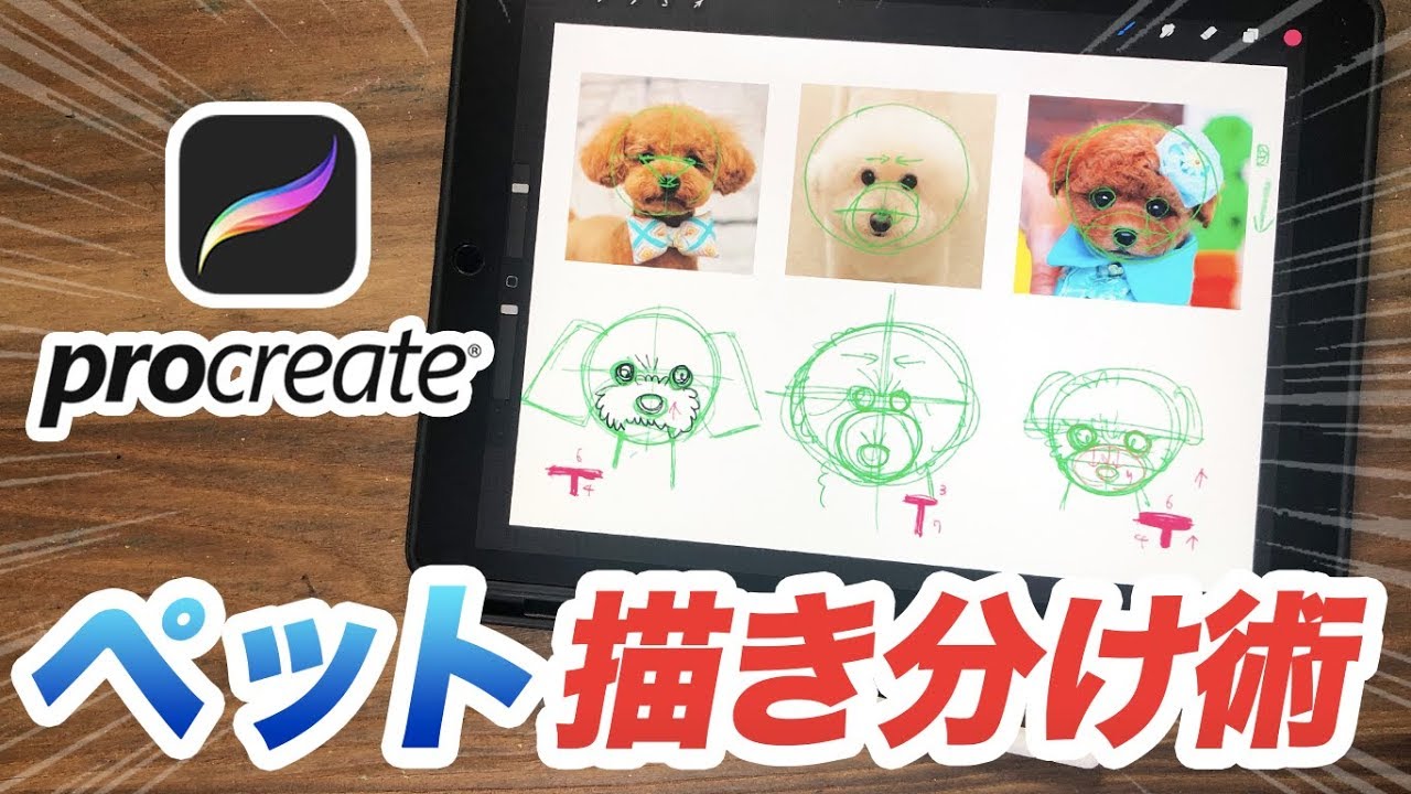 Procreate ペット似顔絵の描き方をご紹介 描き方 イラスト 絵の上達方法 Youtube