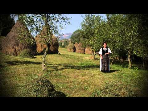 Sus in varful nucului