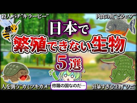 【総集編】何故か日本では繁殖できない生物