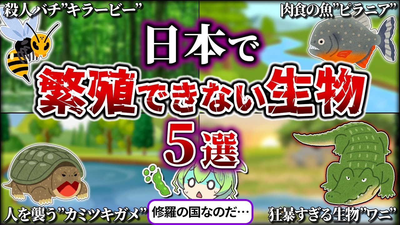 【総集編】何故か日本では繁殖できない生物