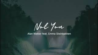 Not You - Alan Walker feat. Emma Steinbaken ( slowed  reverb )