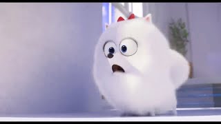 Pets 2 Gidget Got Sneeze Sponsored By Preview 2 Mokou Deepfake Ilvocodex