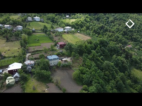 ქედა | აბუქეთა | ერთი დღე სოფელში | 20.05.2023