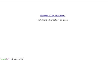 Wildcard character in grep regular expressions