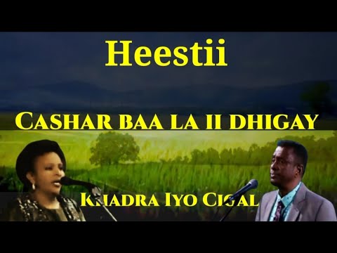 Heestii Cashar Lyrics Axmed Ali Cigal Iyo Khadra Daahir