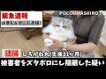 【速報！】過去最悪の事件を起こした凶悪犯を緊急逮捕しました！