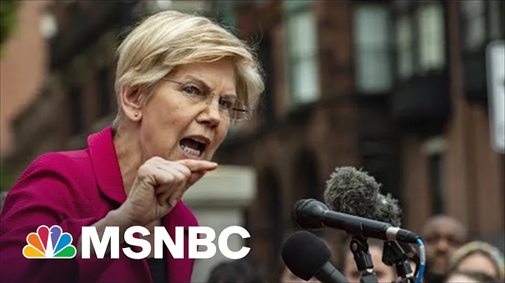 Warren On Ending Of Roe: Supreme Court Doesnt Get ...
