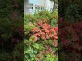 옹이 #조항조 #추억의트로트풍경