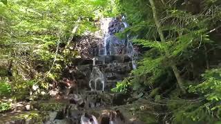 Relaxing Sound Of Nature With Birds Chirping For Sleep