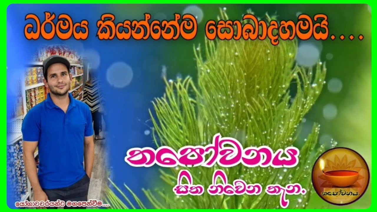 වසරකට පසු පසුවිපරම #Thapowanaya සිත නිවෙන තැන 🙏