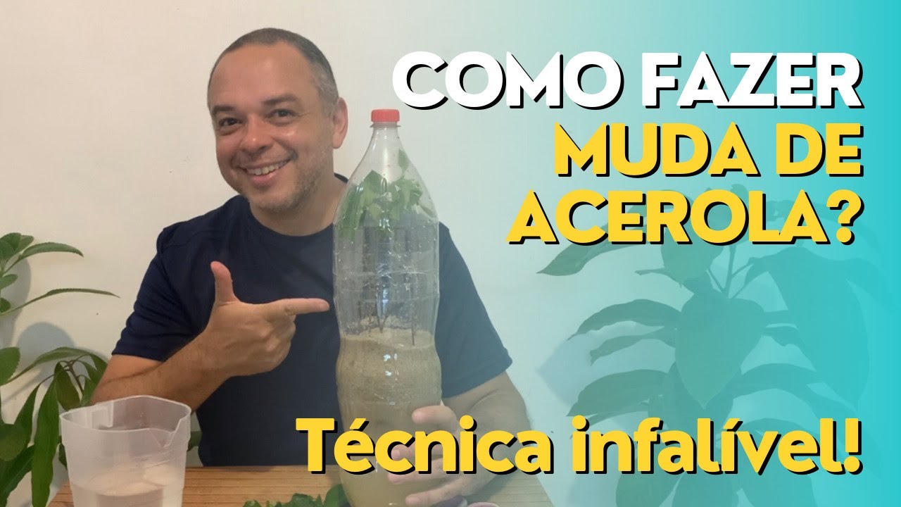 FAÇA MUDA DE ACEROLA OU QUALQUER FRUTÍFERA COM GALHO (Estaquia) - SUPER FÁCIL 