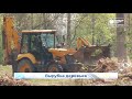 На Северной набережной вырубили деревья  Новости Кирова  13 05 2021