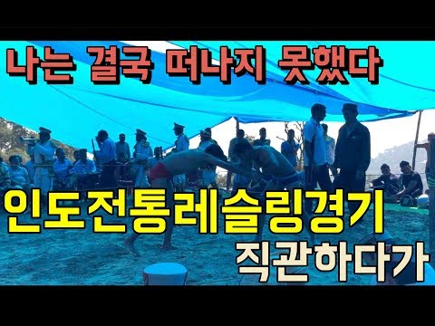 🇮🇳 인도 전통 레슬링 경기 직관