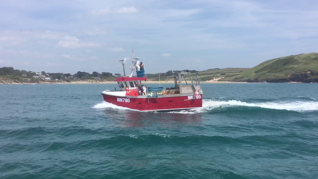 cornwall boat trips padstow