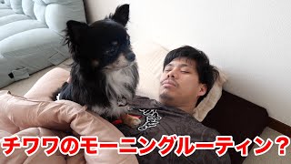 フィッシャーズの朝ってどんな感じ？マサイの愛犬チクワと朝ごはん！