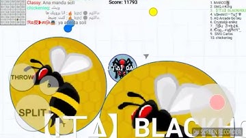 Blob io, Popsplit w/David